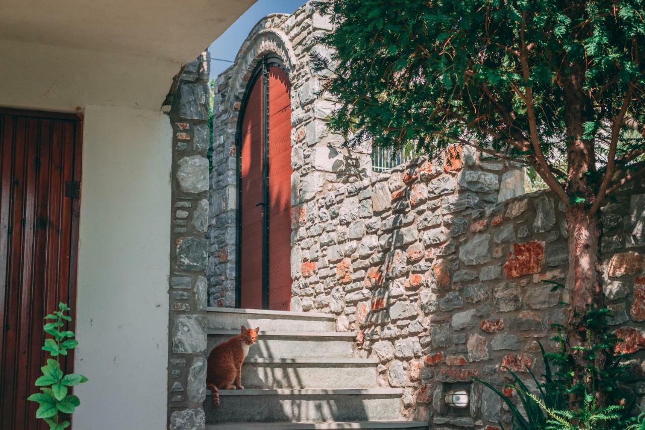 Vila Casa Di Bella Volos Exteriér fotografie