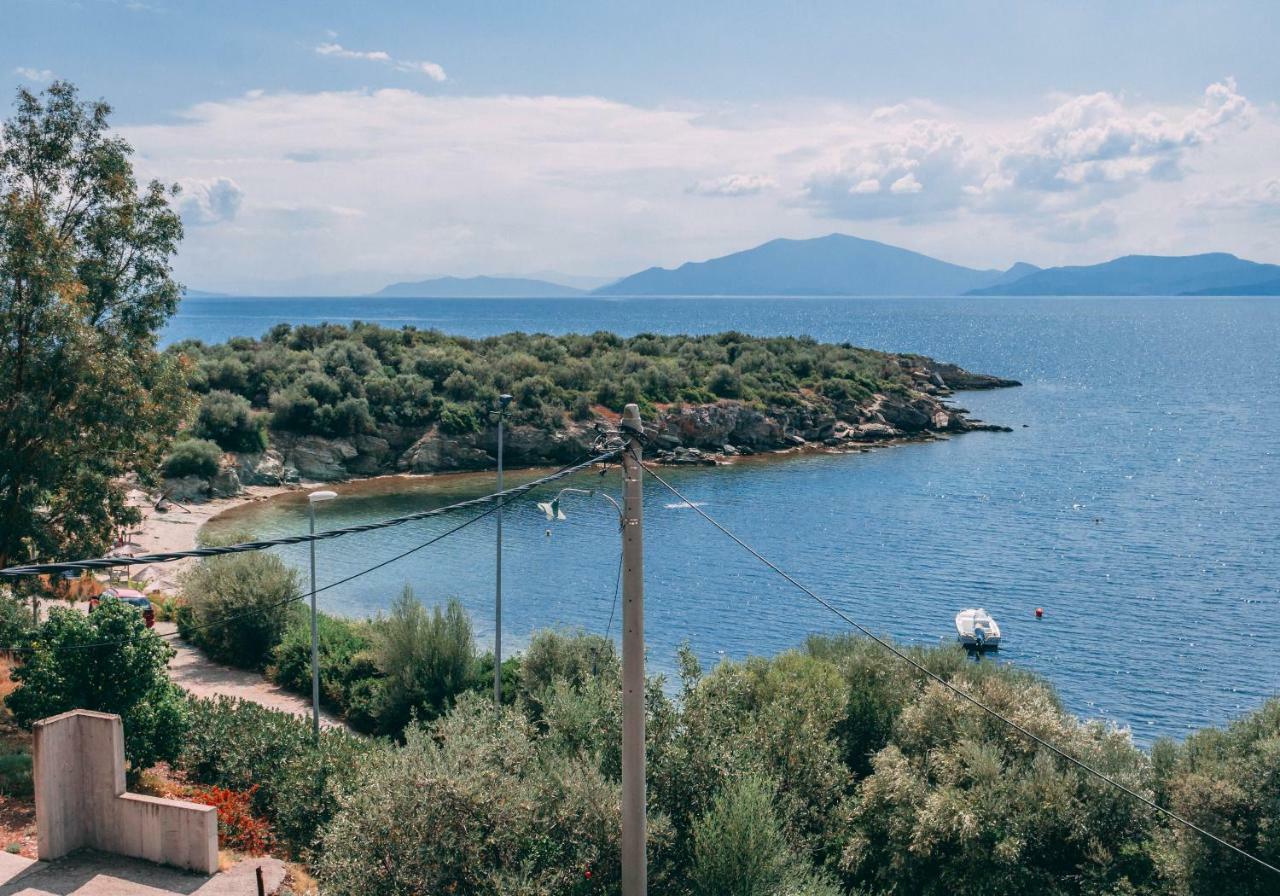 Vila Casa Di Bella Volos Exteriér fotografie